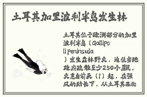拔萝卜又叫降黄9.1